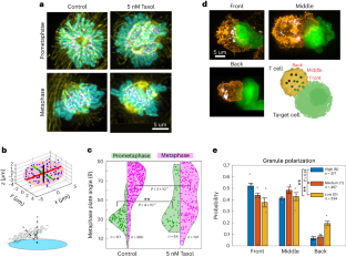 Smart lattice light-sheet microscopy for imaging rare and complex cellular events