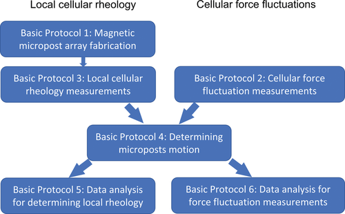 Measuring Cytoskeletal Mechanical Fluctuations and Rheology with Active Micropost Arrays