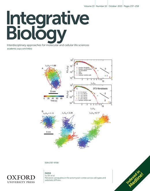 Pervasive cytoquakes in the actomyosin cortex across cell types and substrate stiffness